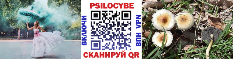 Купить закладки  Луга  Псилоцибиновые грибы Magic Shrooms 